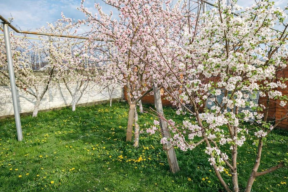 Продам дом в районе КСК