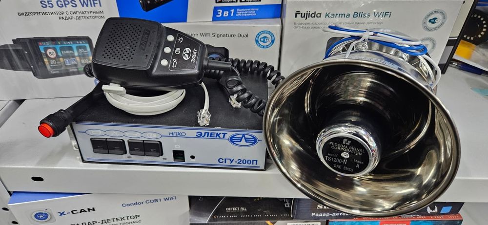 Элект, Зевс, Сгу