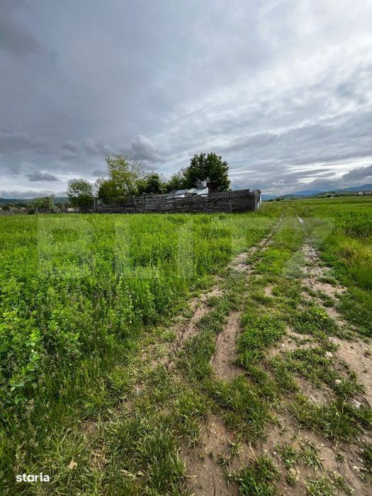 Teren extravilan 2.800 mp in Livezile