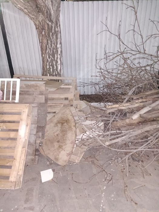 Дрова даром. Отын тегін