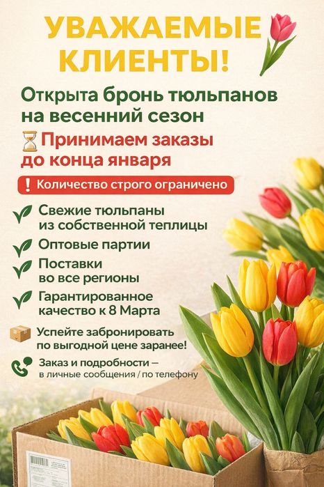 Тюльпаны оптом доставка
