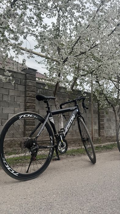 Шоссейный велосипед PIGEON