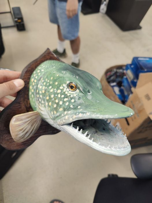 Трофей глава на риба щука