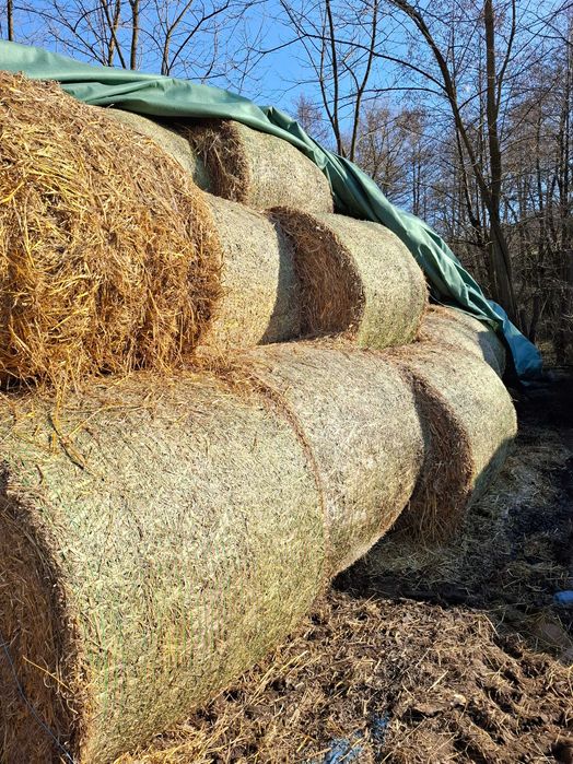 Baloți de paie rotunzi înveliți cu plasă