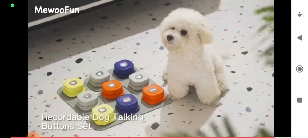 Кучешки бутони.. Записващи бутони за обучение на кучета и котки