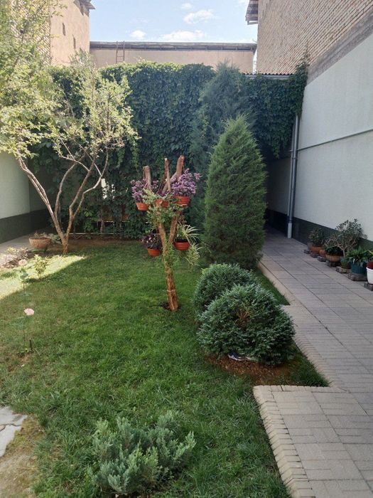 Ракат 1-Линия 3.7-соток Фасад:7-метр Ориентир:Сафия