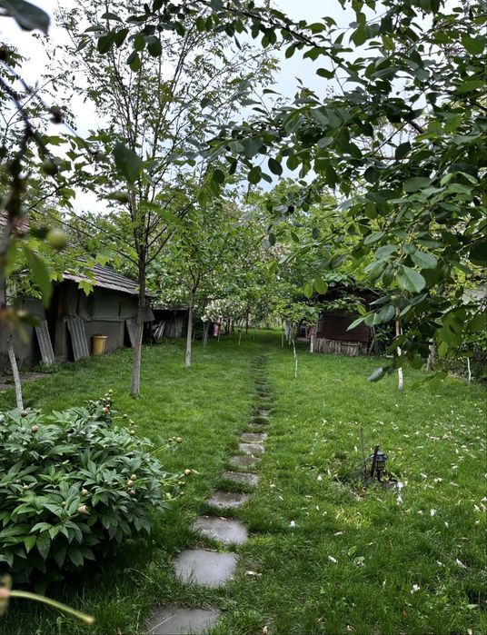 Vand teren cu casa batraneasca comuna Oinacu, Giurgiu
