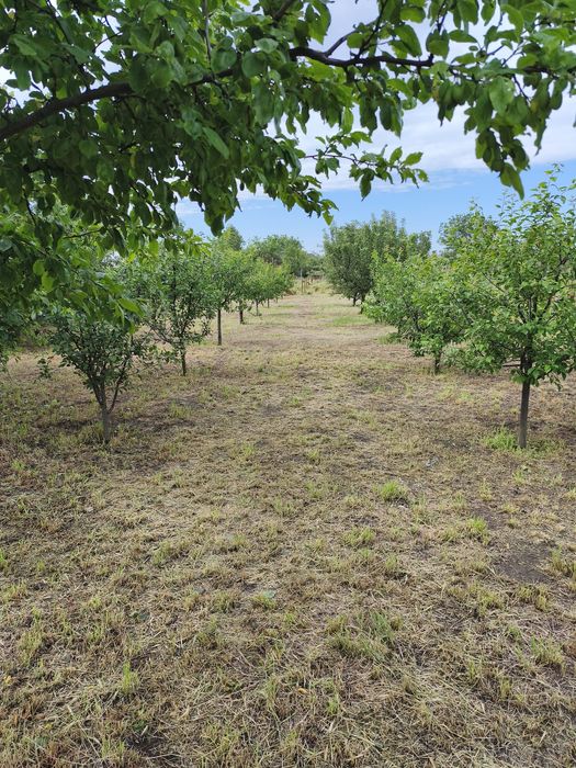 Casa de vanzare in comuna Coteana cu teren generos