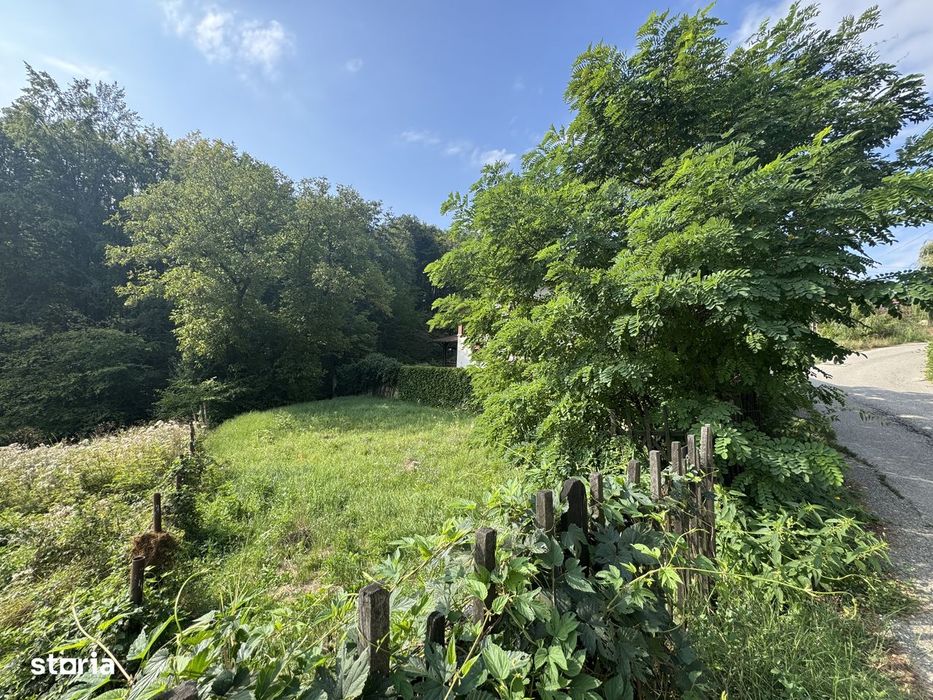Teren pentru casă lângă pădure 390 mp