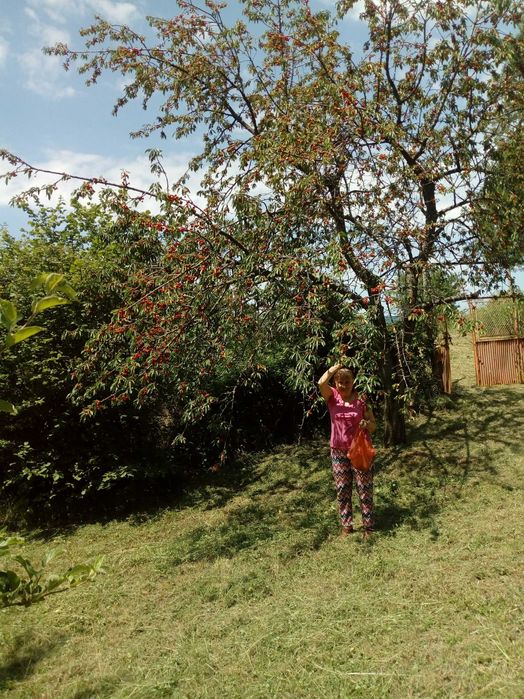 Продава се Парцел в Брезник - 450 кв.м за 34 €/кв.м - Снимка #11