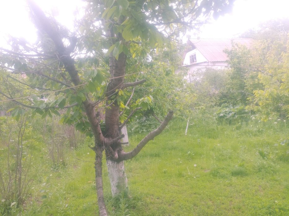 Продается дом,договорная