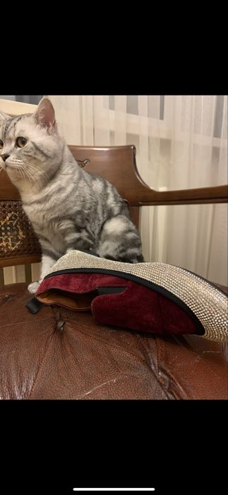 Обувь со стразами и бархат