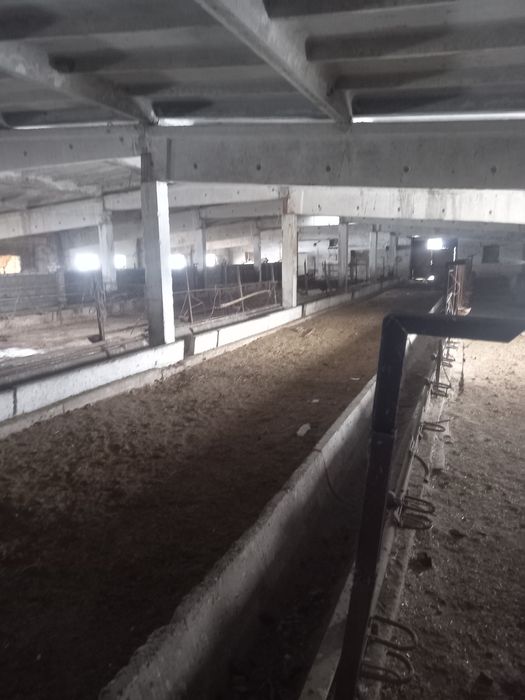 Фазенда база.     .