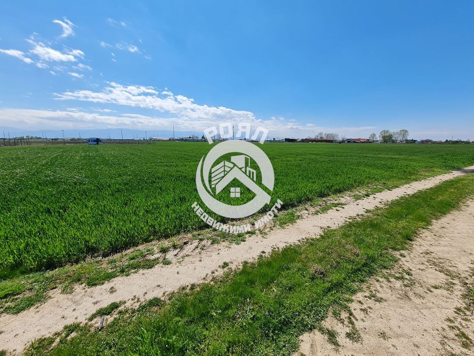 Продава се Парцел в с. Скутаре, Област Пловдив - 1000 кв.м за 23 €/кв.м - Снимка #1