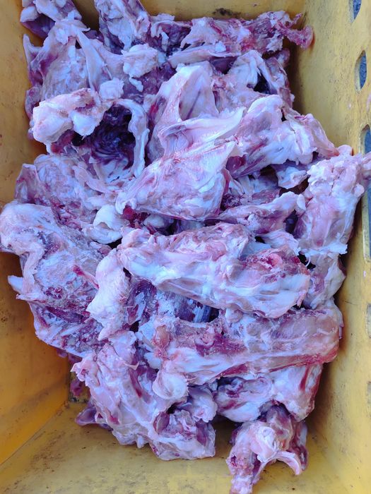 Спинки куриные..