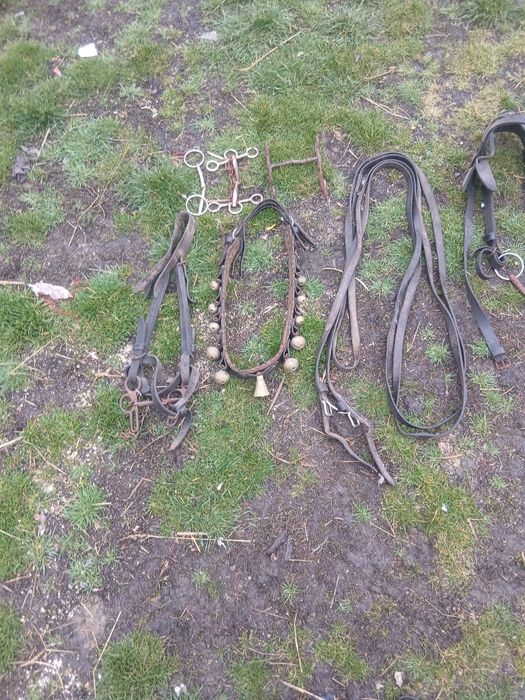 De vânzare ham curea cu clopote pentru cai