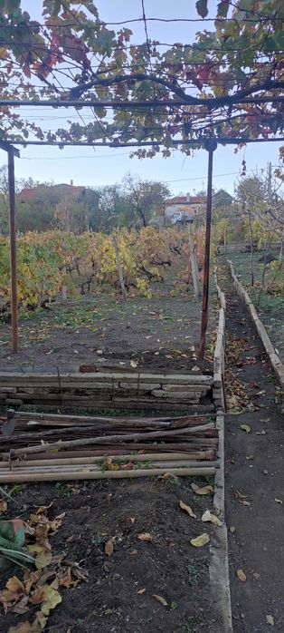 продавам парцел в гр.Ямбол , местност Курткая