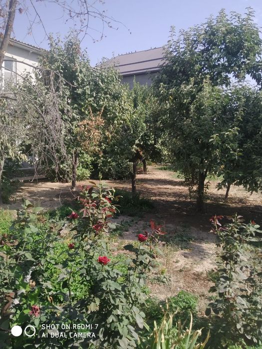 Dacha sotiladi tuzelda