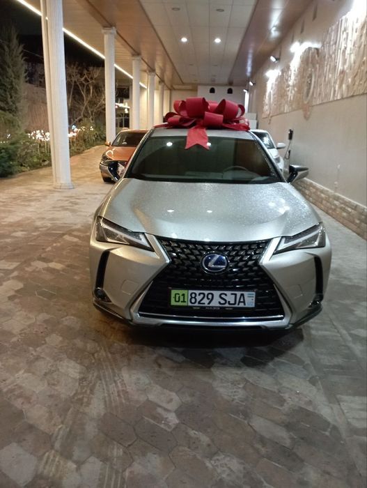 Bantik Бант и ленты