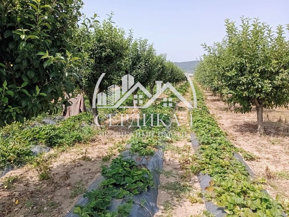 Продава се Парцел в Дупница - 2500 кв.м за 13 €/кв.м - Снимка #1