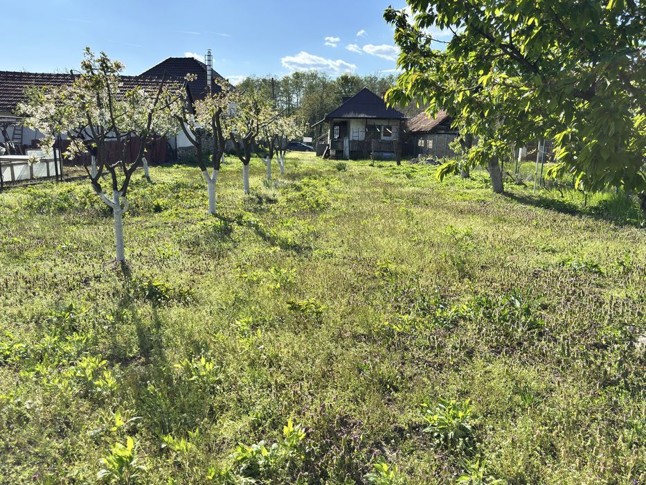 De vânzare casă Stănești-Alexeni casa+teren 6150mp