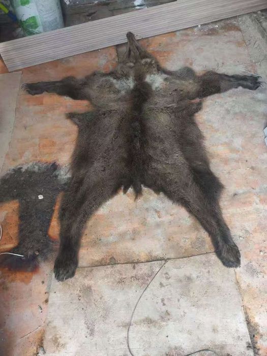 Муляж медведя  - аю терісі