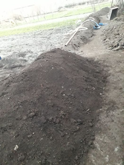 Biogomis tabiiy yer uchun chirigan nuri