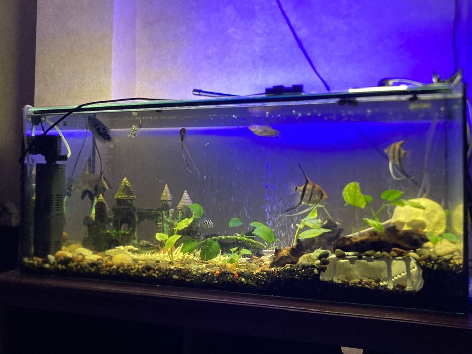 Продаю аквариум 150л