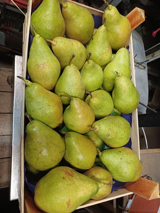 Mere și pere de vânzare