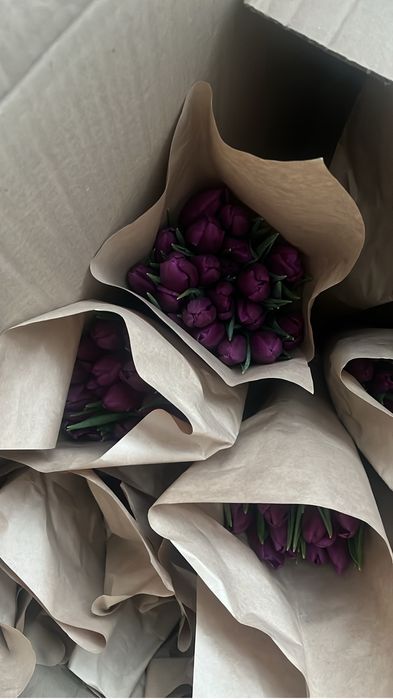 Тюльпаны оптом 300 тг