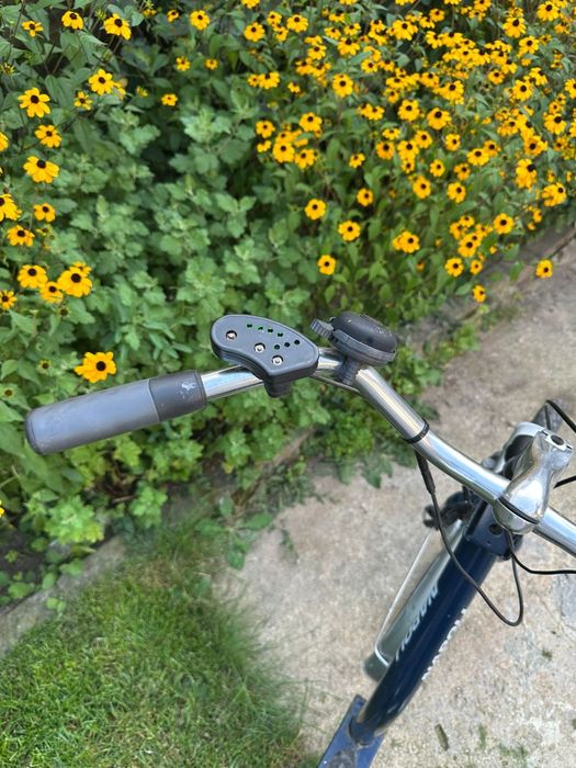 Tricicletă electrică