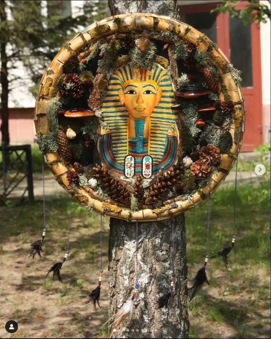 Tablouri Naturale / Cadou / Lichenii / Mușchi