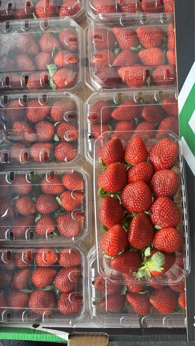 Клубника оптом и в розницу