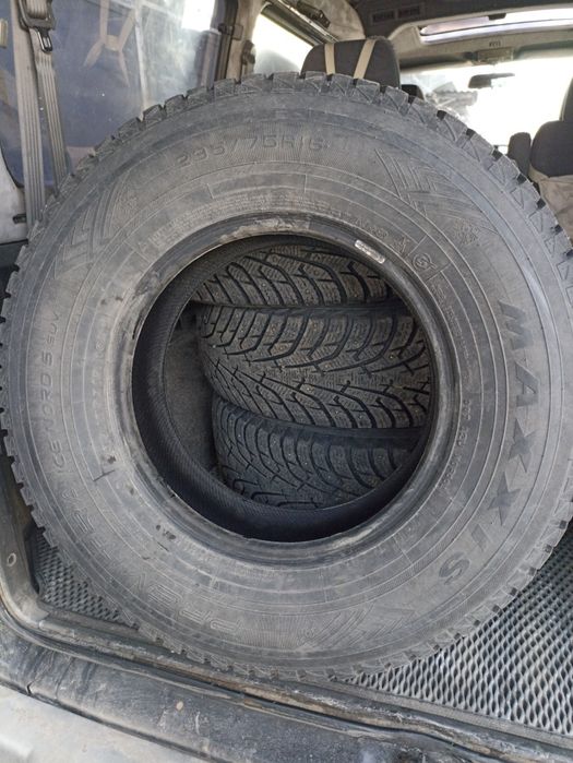 Maxxis ice Nord 5