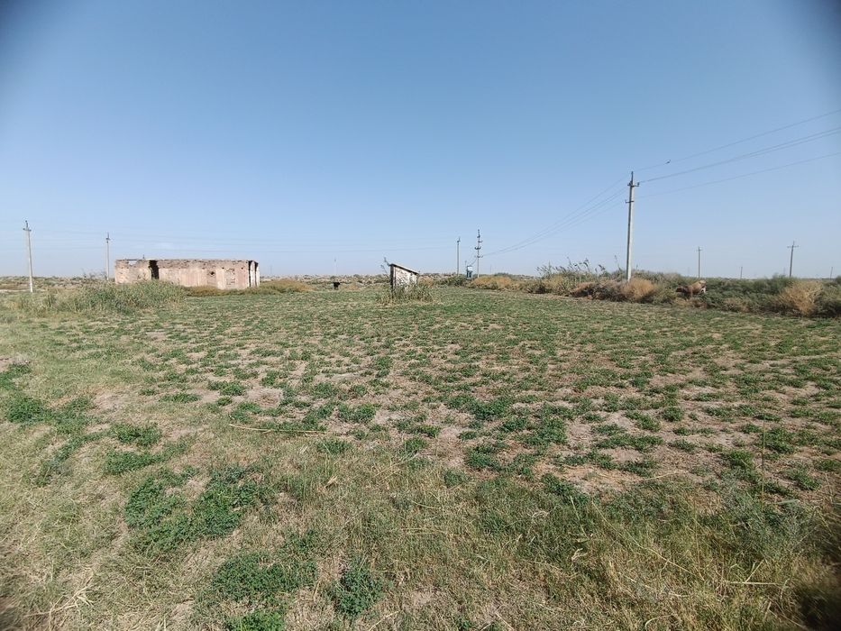 Yer sotiladi Surhondaryo viloyati Sherobod tumanida