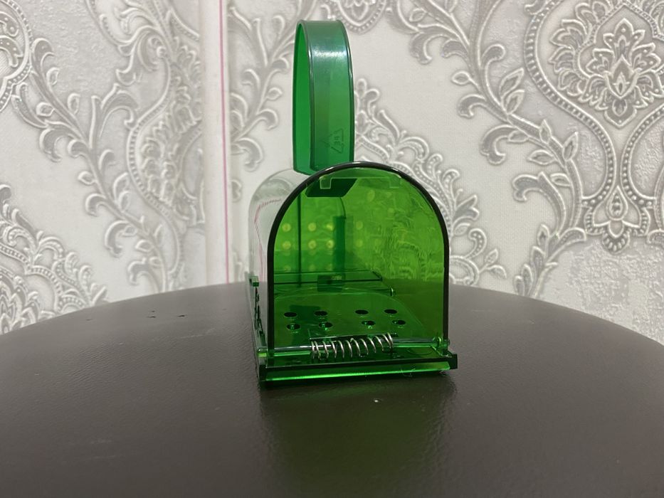 Sichqon va kalamush dori hamda qopqon. Гуманная мышеловка, ловушки