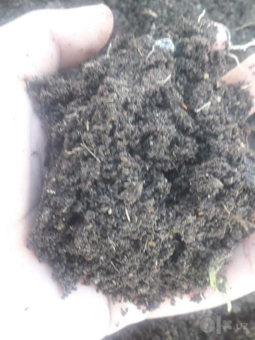 Biogomus sotib olmoqchilar uchun