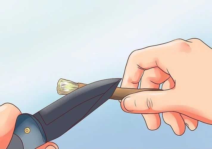 Miswak - periuta de dinti naturala