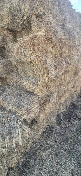 Тюк шөп сатылады