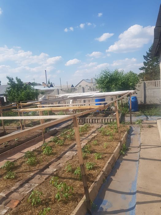 Отдельно стоящий дом