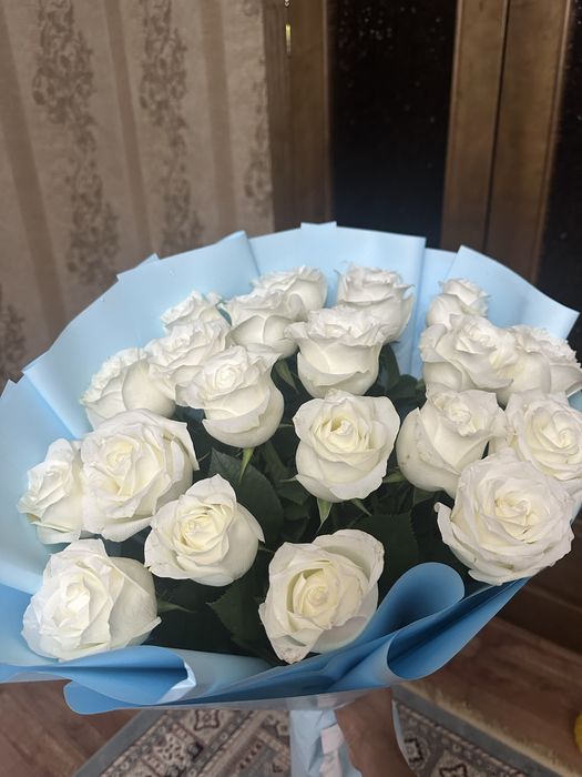 Свежые Голандские розы