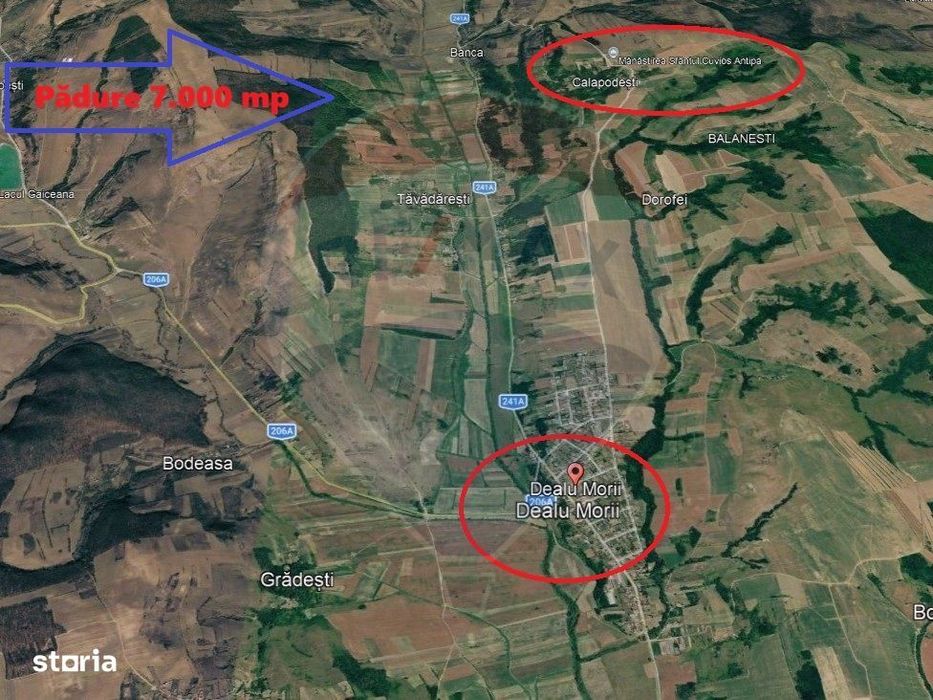 Padure de vanzare – 7.000 mp, Dealu Morii, jud. Bacau