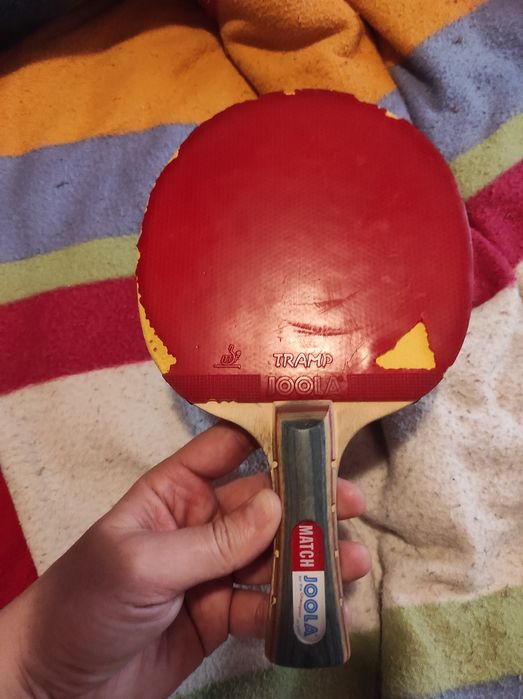 Vand lemn gol Joola Python anatomic si paleta tenis de masa Joola Tra