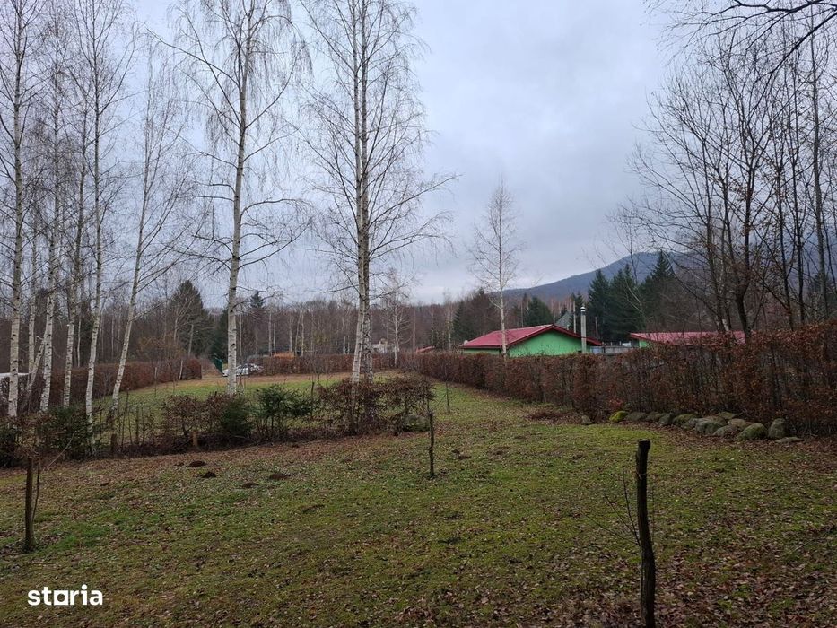 Teren 2000 mp, intravilan, langa padure,  pe Valea Avrigului-Sibiu
