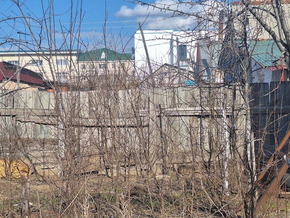 Продаю саженцы Актобе