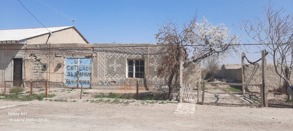 Gijduvon bogdorchlik safxuzi xovli sotiladi