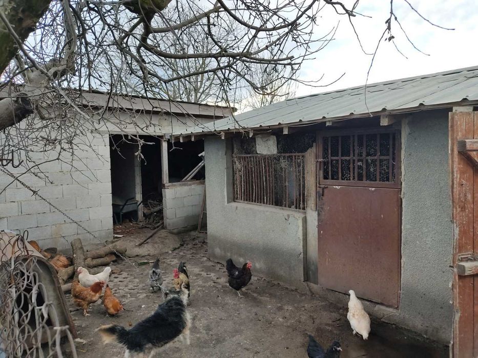 Продава се Къща в с. Кардам, Област Добрич - 100 кв.м за 510 €/кв.м - Снимка #6