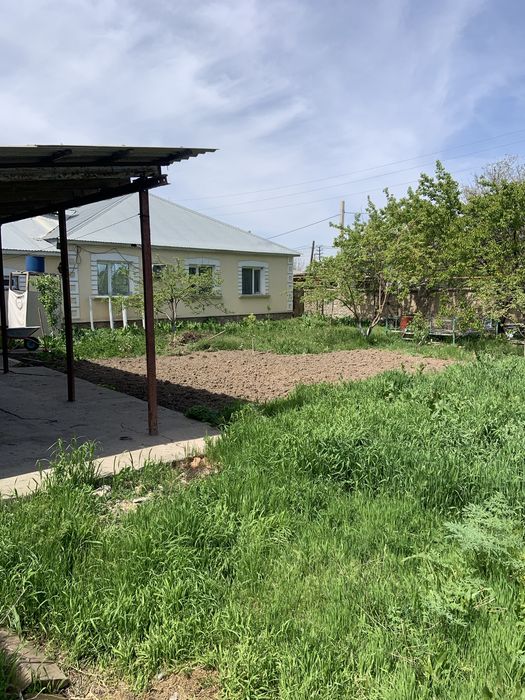 Үй, магазин, Балықхана Сатылады