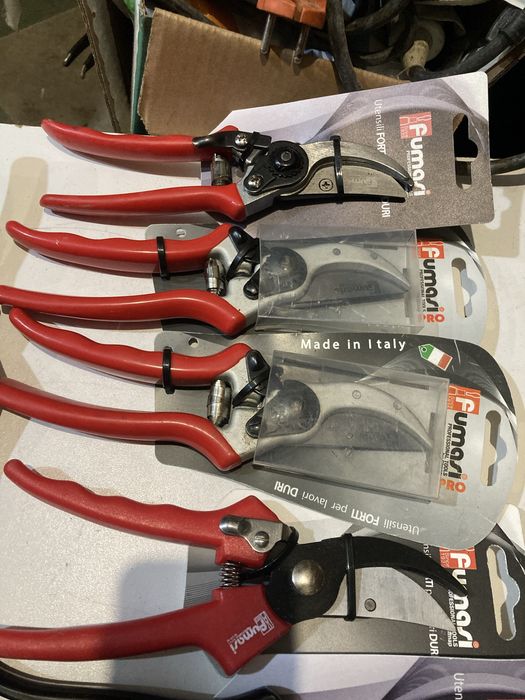 Foarfeci vie italia Noi