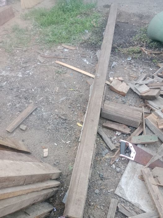 Продам срочно агаш